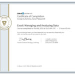 Corso Excel gestione e analisi dei dati su Linkedin